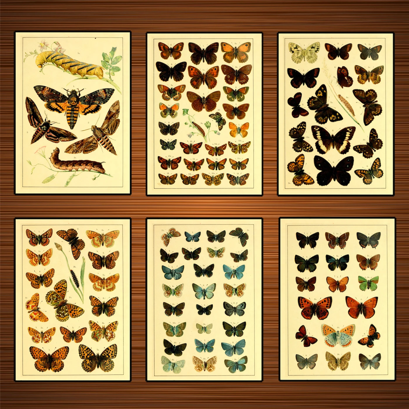 Vintage Art Print Poster Butterfly Wall Hangings Tapesty