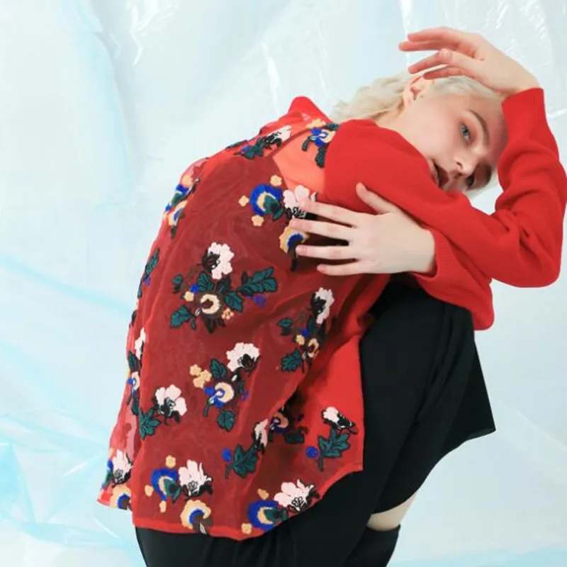 2019 Spring V collar Back Perspective Gauze Flower Embroidery Loose