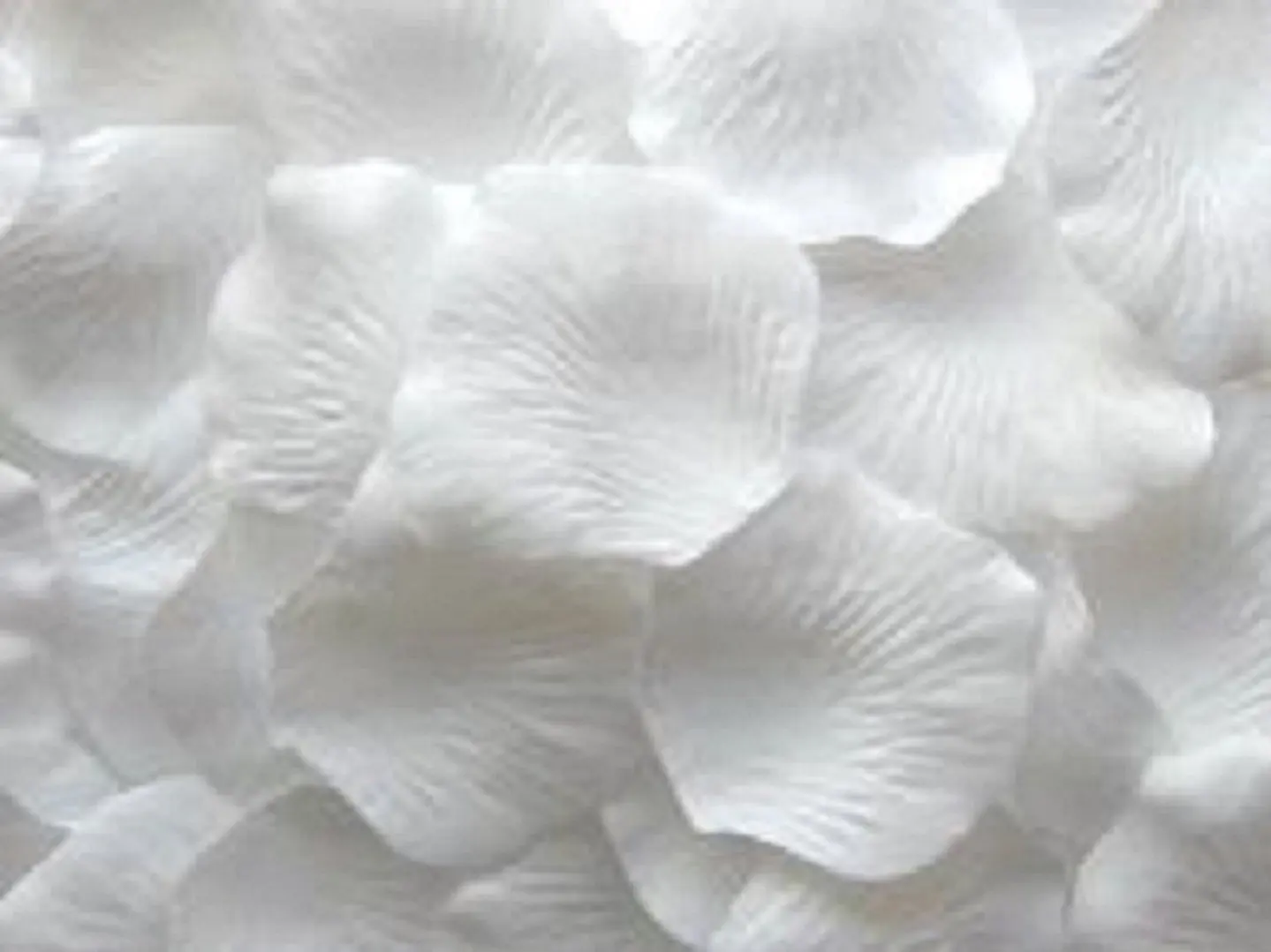 Best Selling 1 pack WHITE Silk Rose Petals Ideal For Weddings