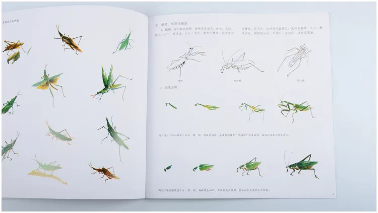 Различные способы китайской живописи руки картина учебник выпуска шаг map копирования книги 22 страницы