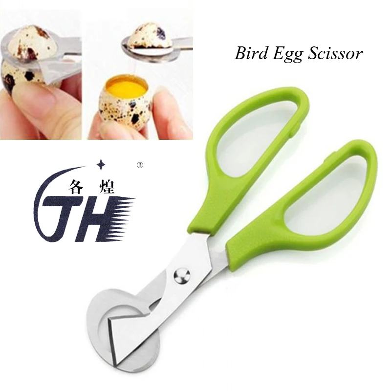 Buy GH New Scissors For Quail Eggs Bird Egg Small Mini