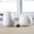 New Desgin white vase ceramic Hydroponics Vase Modern Pure And Fresh Hydroponic Flowers Sitting Room Decoration 7
