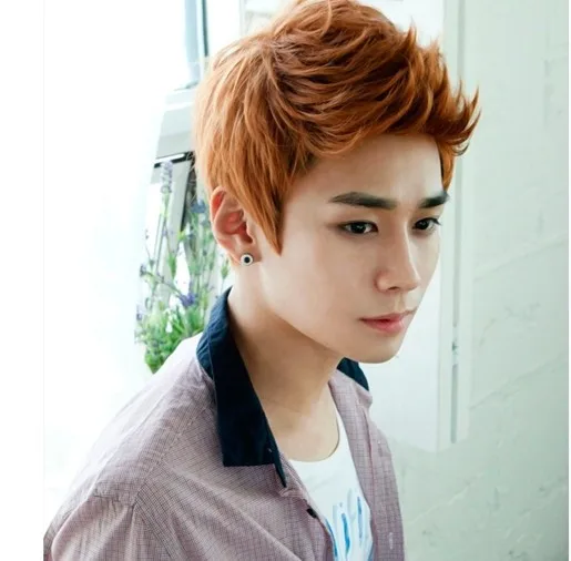 Mens Wigs Male fluffy hair wigs lifelike, Japan and South Korea