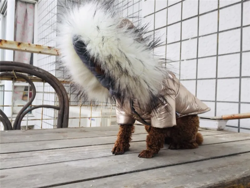 Dog Clothes Winter for Small Dogs (6)