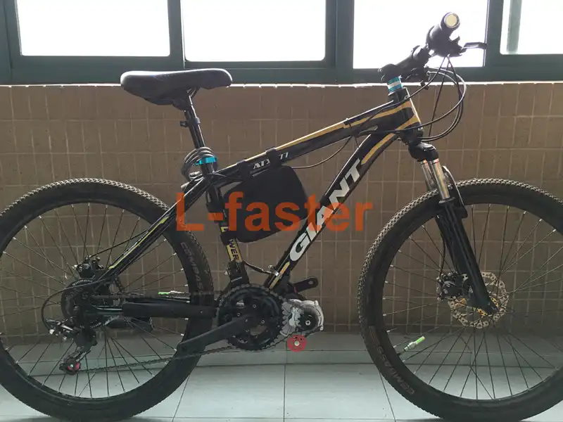 mountain bike electric conversion