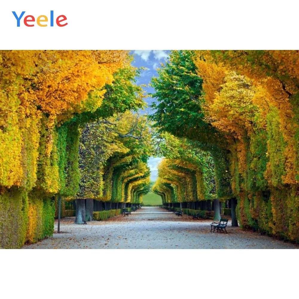 

Yeele Boulevard Tree Bench Portrait Scene Party Photography Backgrounds Customized Photographic Backdrops For Photo Studio