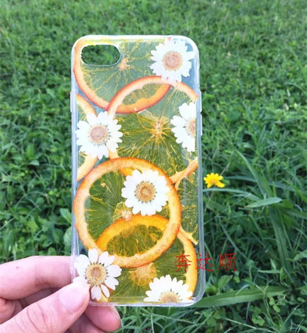 

Handmade 3D Amber feeling Real fruit Soft Case for Apple iPhone X 7 8 plus 6 Transparent for samsung s8 9 edge Shell Cover cases