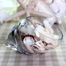 O.RoseLif стеклянная ваза с раковиной домашний декор подвесной Террариум для растений Глобус Хрустальный гидропонный контейнер Креативный Свадебный декор цветочный горшок