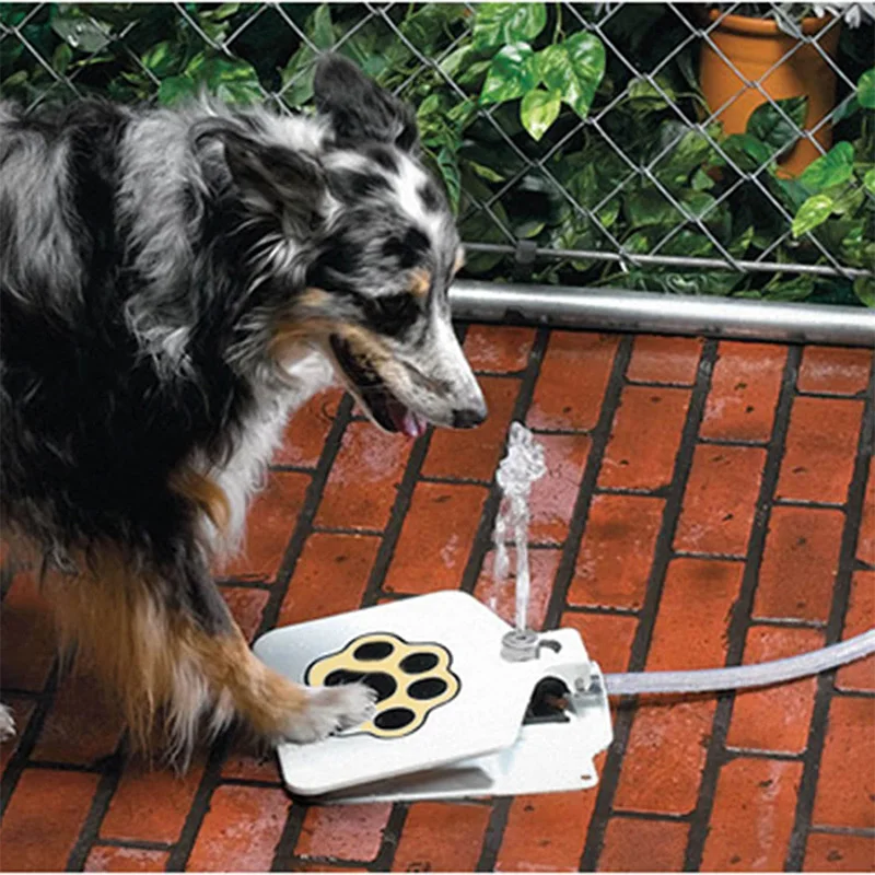 

Pet Pedal Water Drinking Trouble-Free Outdoor Dog Cat Pet Drinking Doggies Foot Pedal Operated Water Fountain Drinking