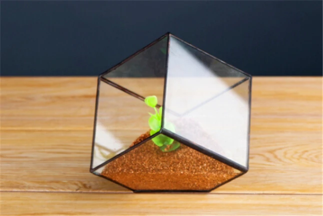 Plant Solder Terrarium 7.jpg