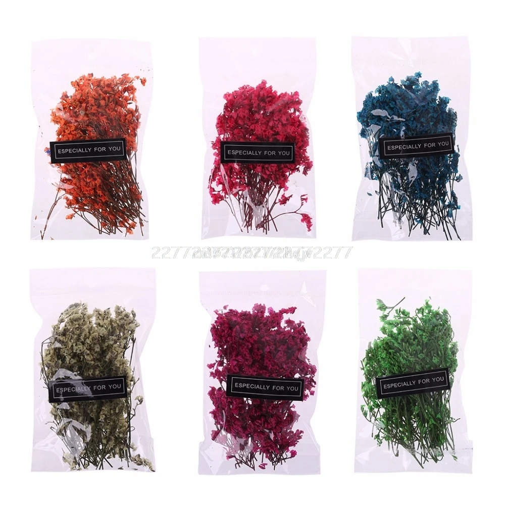 

1 Bag Real Pressed Dried Flowers Floral Plants Embellishments For DIY Scrapbooking Card Making Art Craft Decoration A18 19