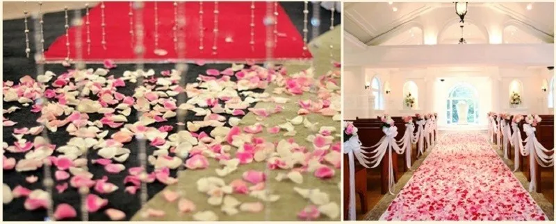 HTB1pz0pLVXXXXaCXXXXq6xXFXXXs