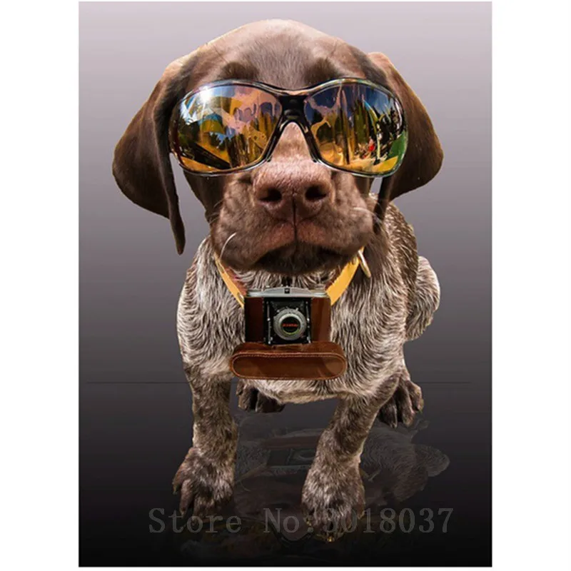 

Diamant Diy 5D Diamond Painting Cross Stitch Wearing A Sunglasses Dog Needlework 3D Diamond Embroidery Full Diamond Decorative