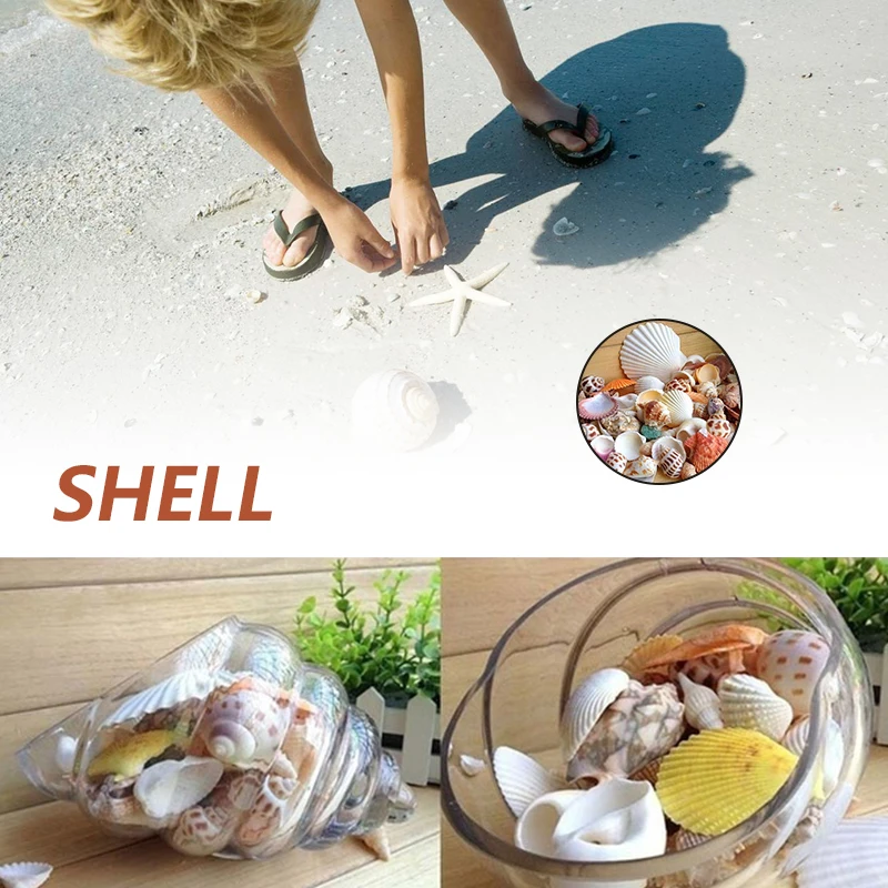 

100G Beach Seashell Mediterranean style DIY Fashion Mix Sea Shells Natural Crafts for Aquarium Fish Tank Decor