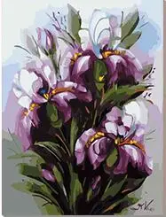 MaHuaf-X1531 Chic irises Paint By Number Kit Diy Acrylic Painting On Canvas cuadros decoracion for home decor 