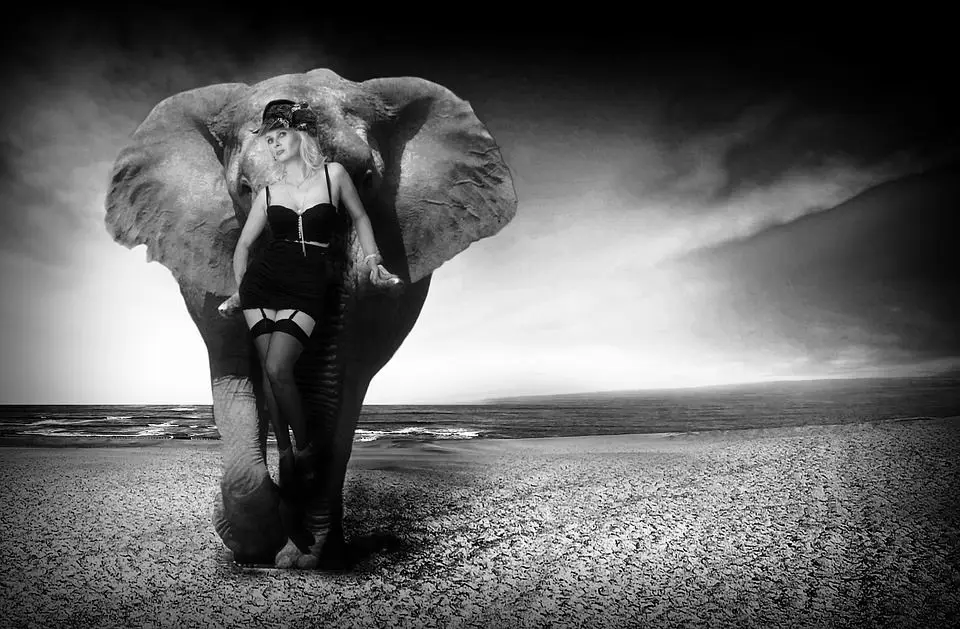 

perfact oil painting handpainted on canvas"A sexy woman and an elephant"