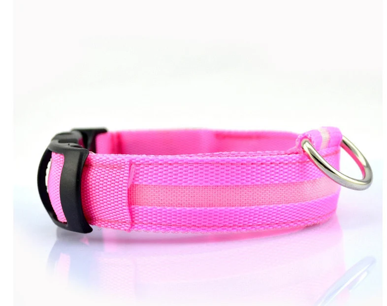 dog collar 1 (23)