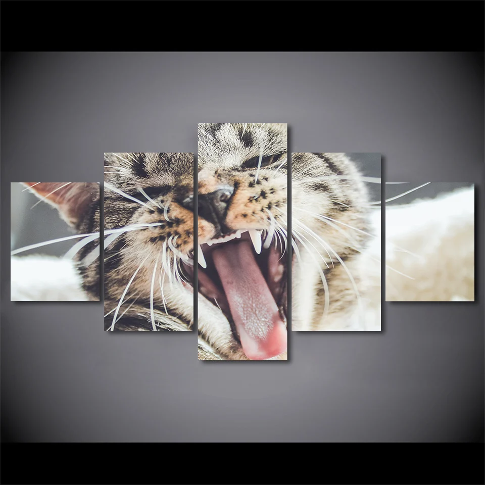 Home Decoration Posters Modular Picture Wall Art 5 Panel Animal Cat
