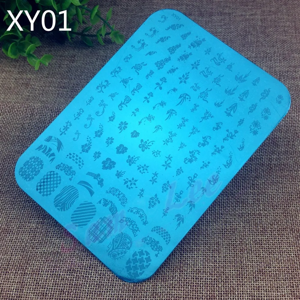 XY01