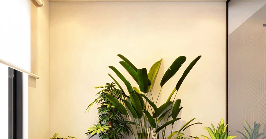 Aliexpress_01_08