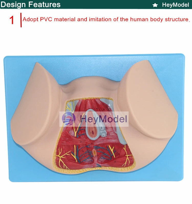 1.PVC_