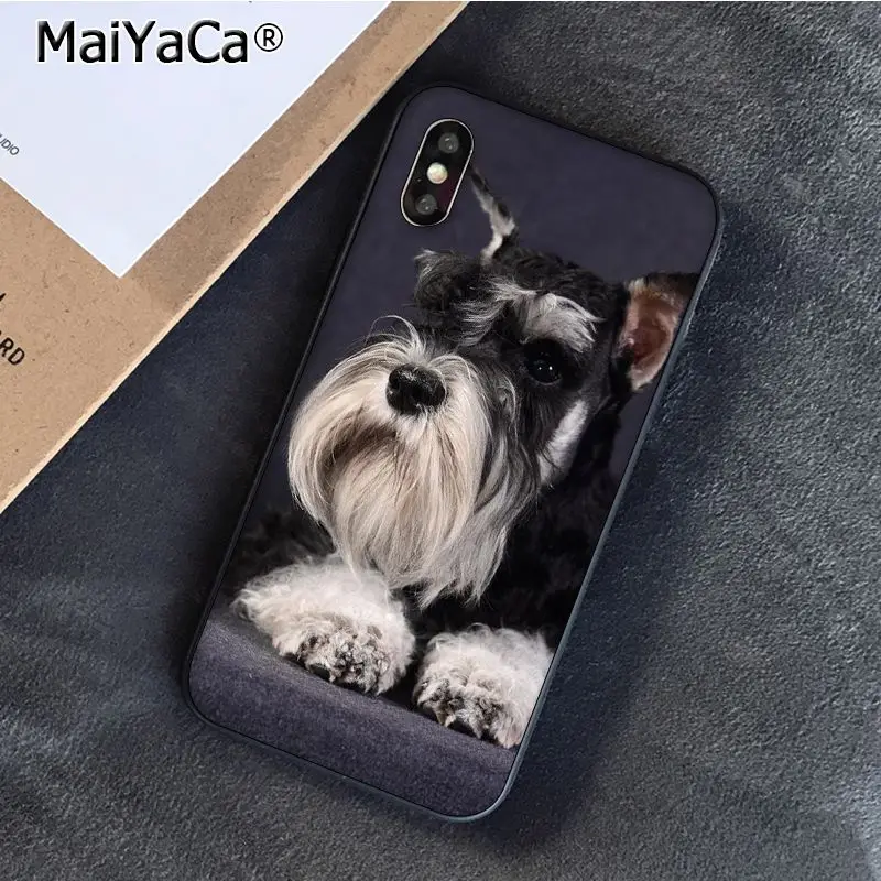 Schnauzer Puppy dog Art