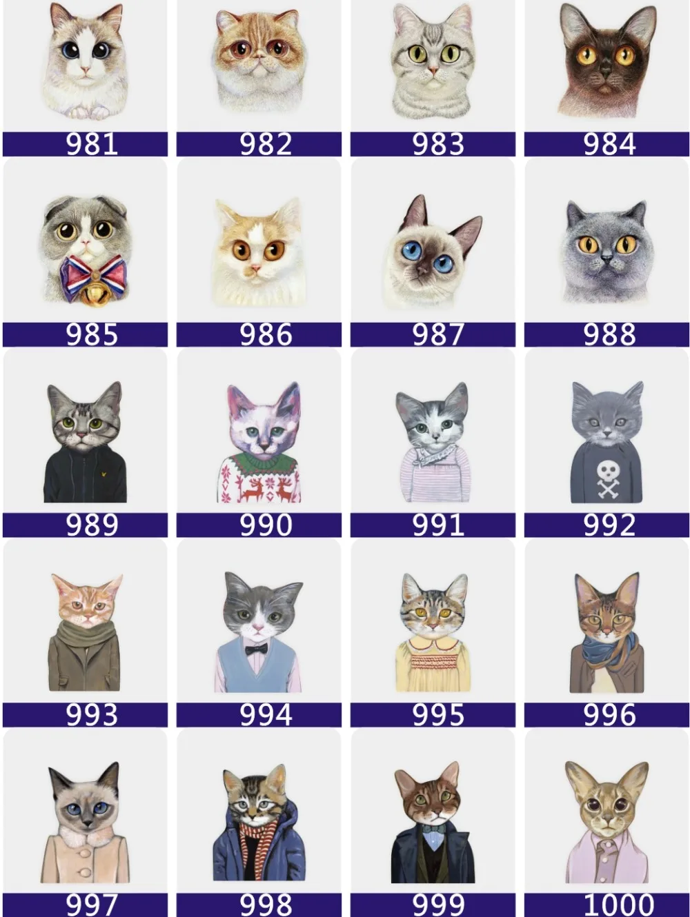 9125557342_893031961_