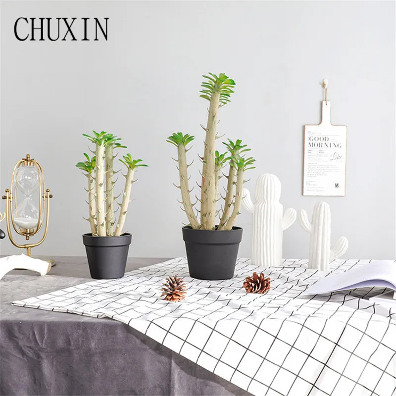 Nordic Ins Home Decoration Simulation Tropical Succulents