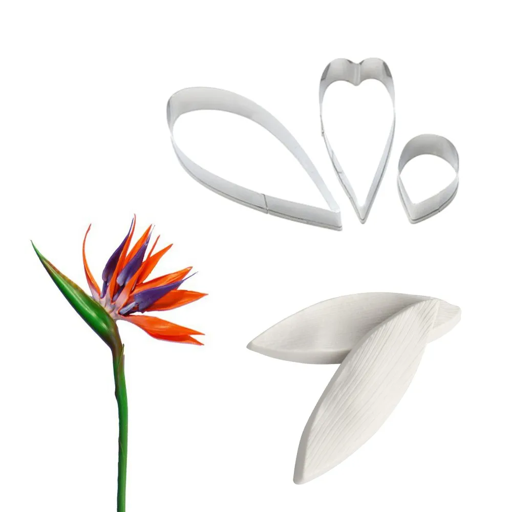 Strelitzia-2