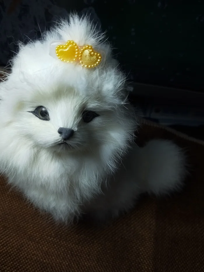 

Cute!!! Pet Grooming Accessories,puppy Summer Accessories ,dog Hairpin 2pcs