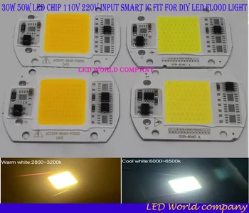 

LED COB Lamp Chip 30W 50W 110V Input Smart IC Driver Fit For DIY LED Floodlight Spotlight Cold White Warm