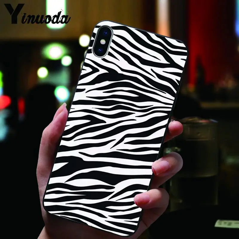 Animal Black white Zebra Stripe