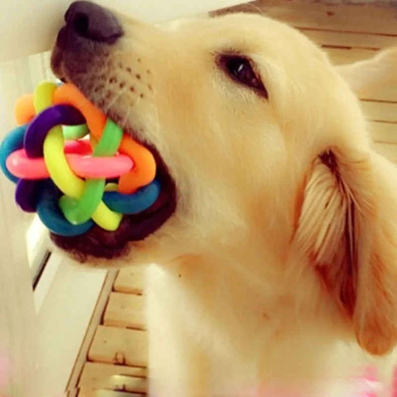 

panDaDa 2018 New Colorful Pet Dog Cat Ball Toy Rubber Round Ball With Small Bell Toy Pet Dog Chewing Ball