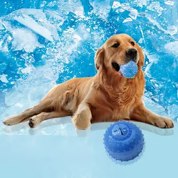

Pet Bone Barbell Toy Cat Pet Dog Products Freeze Chewing Biting Toy Cooling Teeth Cleaning Toys Food Leaking Toys