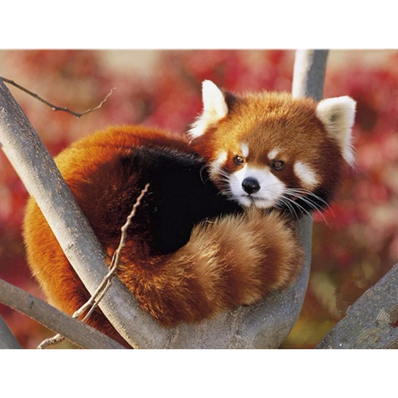 

Diamond Panda Animals Painting Diamond Round Full Embroidery Red Mosaic Pasted Cross Canvas Canvas Craft Needlework