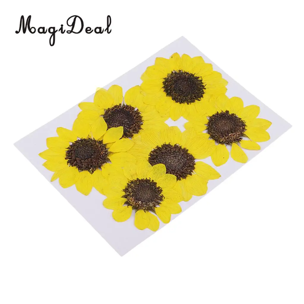 6 Pieces Pressed Natural Real Dried Flowers Sunflower for DIY Resin Ornament Craft Christmas Xmas Card Making Decoration