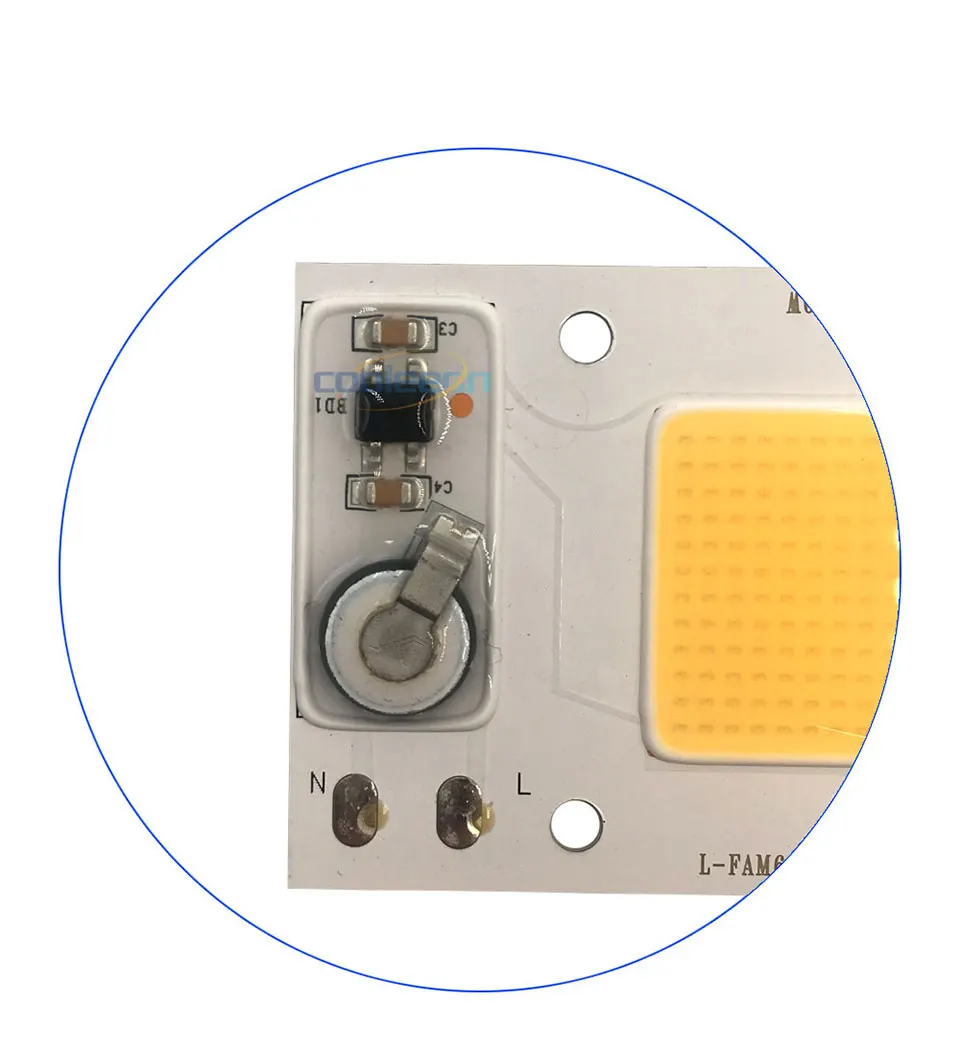 Full Spectrum COB LED Lamp 50W 95% RA 220V AC COB Chip Smart IC for Plant Frow Lights Floodlight Lighting Source Warm Cold White (5)