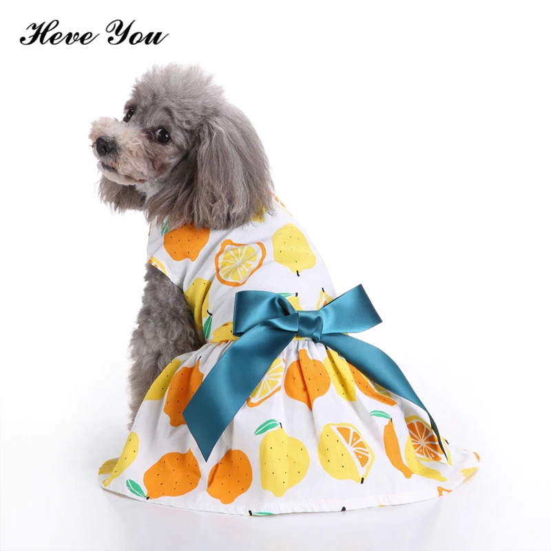 Heve You New Pet Clothes for Small Dogs Clothing Pet Party Princess