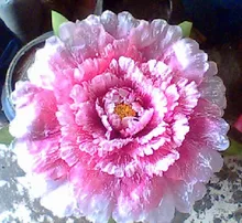 Peony props peoperties dance peony 60 cm show props flower large
