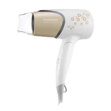 TBDX19-FH6259, Blowbys высокой мощности fh6259 бесшумный фен бытовой складной фен