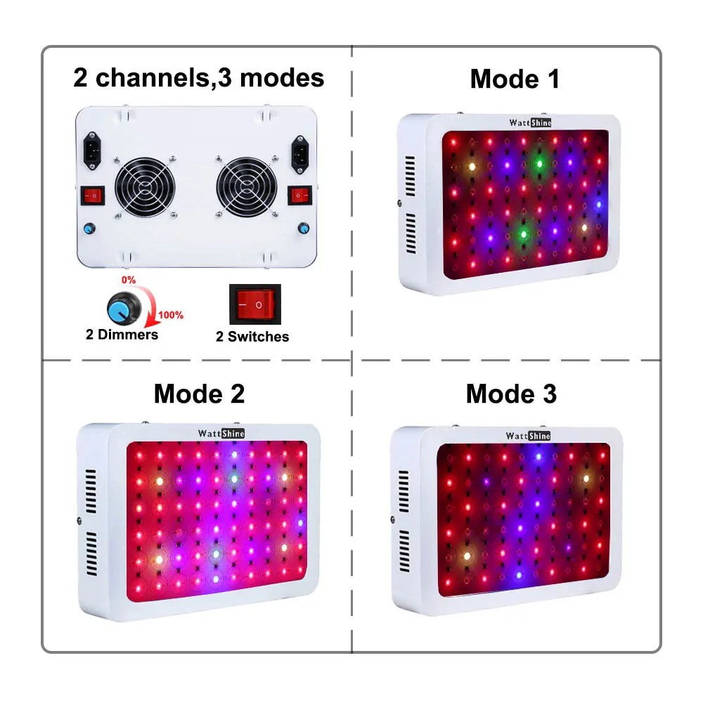light2