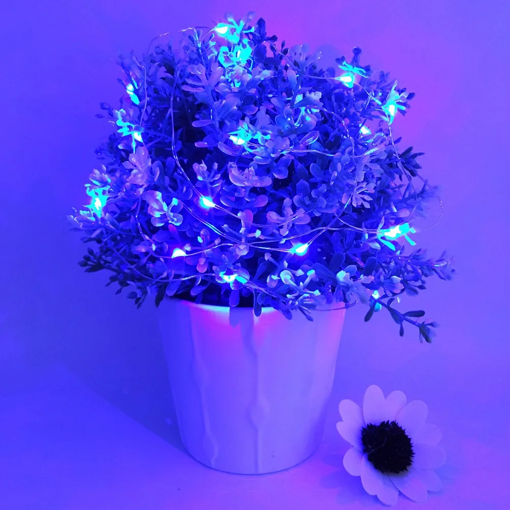 blue-h