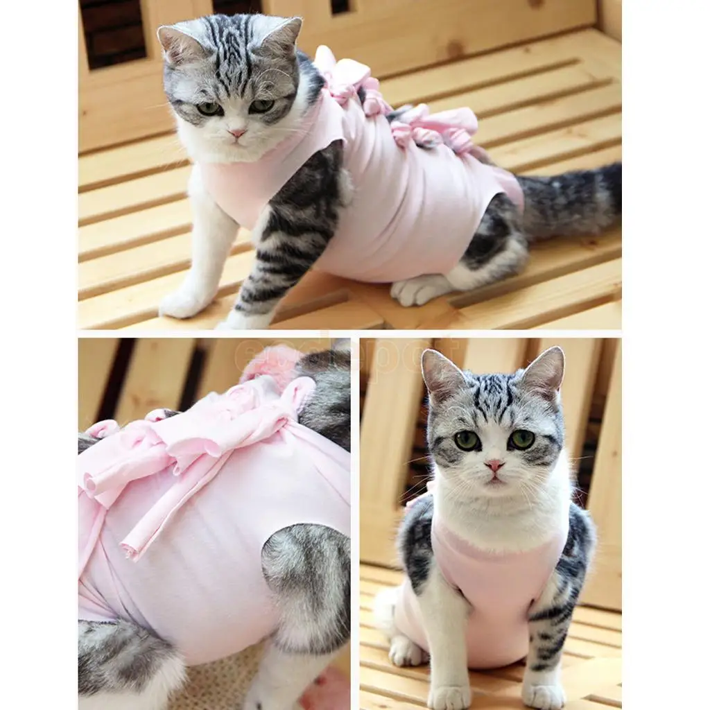 Professional Recovery Suit for ABDOMINAL Wounds and Skin Diseases,E-Collar Alternative for Cats and Dogs, After Surgey Wear