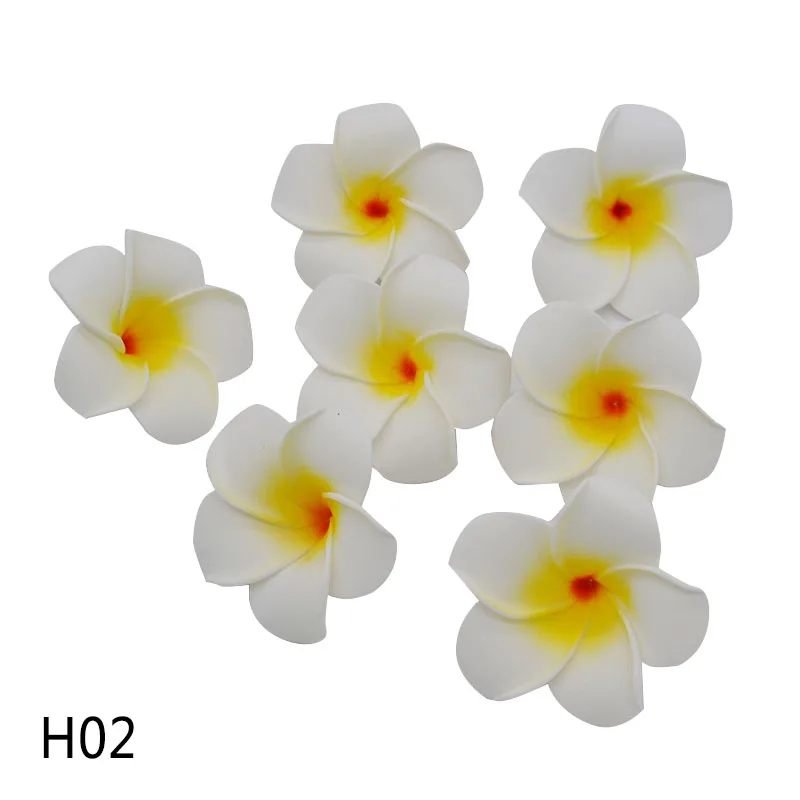 H02