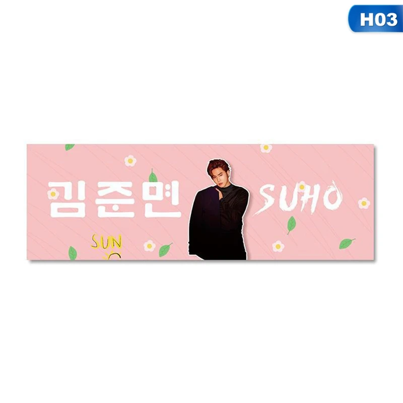 1 Piece Kpop EXO BAEKHYUN CHANYEOL SEHUN Concert Support Hand Banner Fabric Hang Up Poster For Fans Collection Gift - Цвет: H03