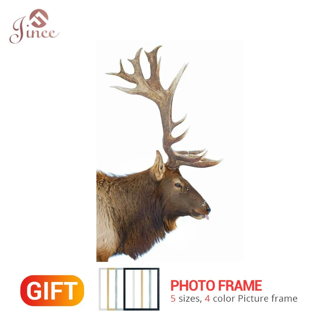 

5D DIY Diamond Painting Animal Elk Full Round Square Diamond Embroidery Cross stitch Diamond Crystal Wall Painting Gift