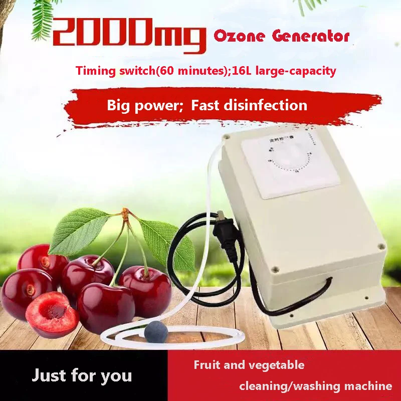 

Ozone Generator Ozonizer Air Purifier/Cleaner Vegetables Washer With Timing Function
