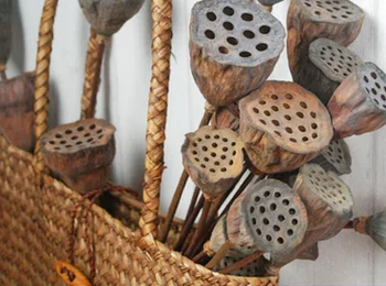 

20pcs/lot lotus seedpod Dried Flower Home Decor wedding decoration home bedroom living room office DIY Decoration flowers