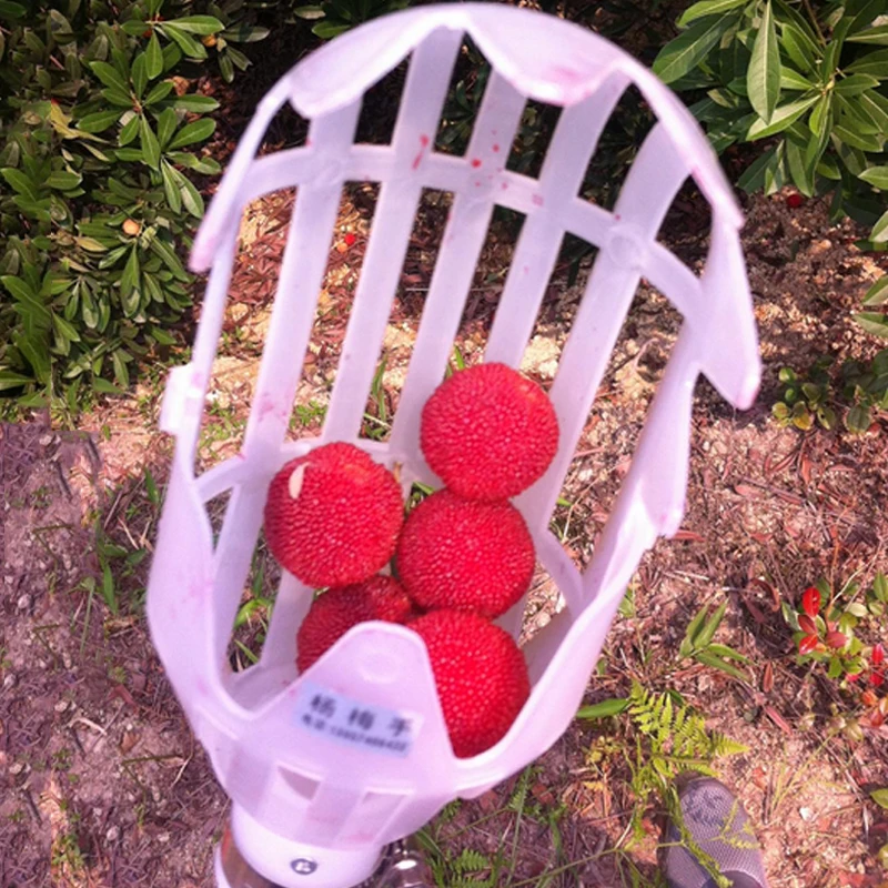 1Piece-Plastic-Fruit-Picker-without-Pole-Fruit-Catcher-Gardening-Picking-Tool-Garden-Rake (1)