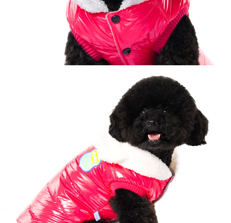 8 dog costume 